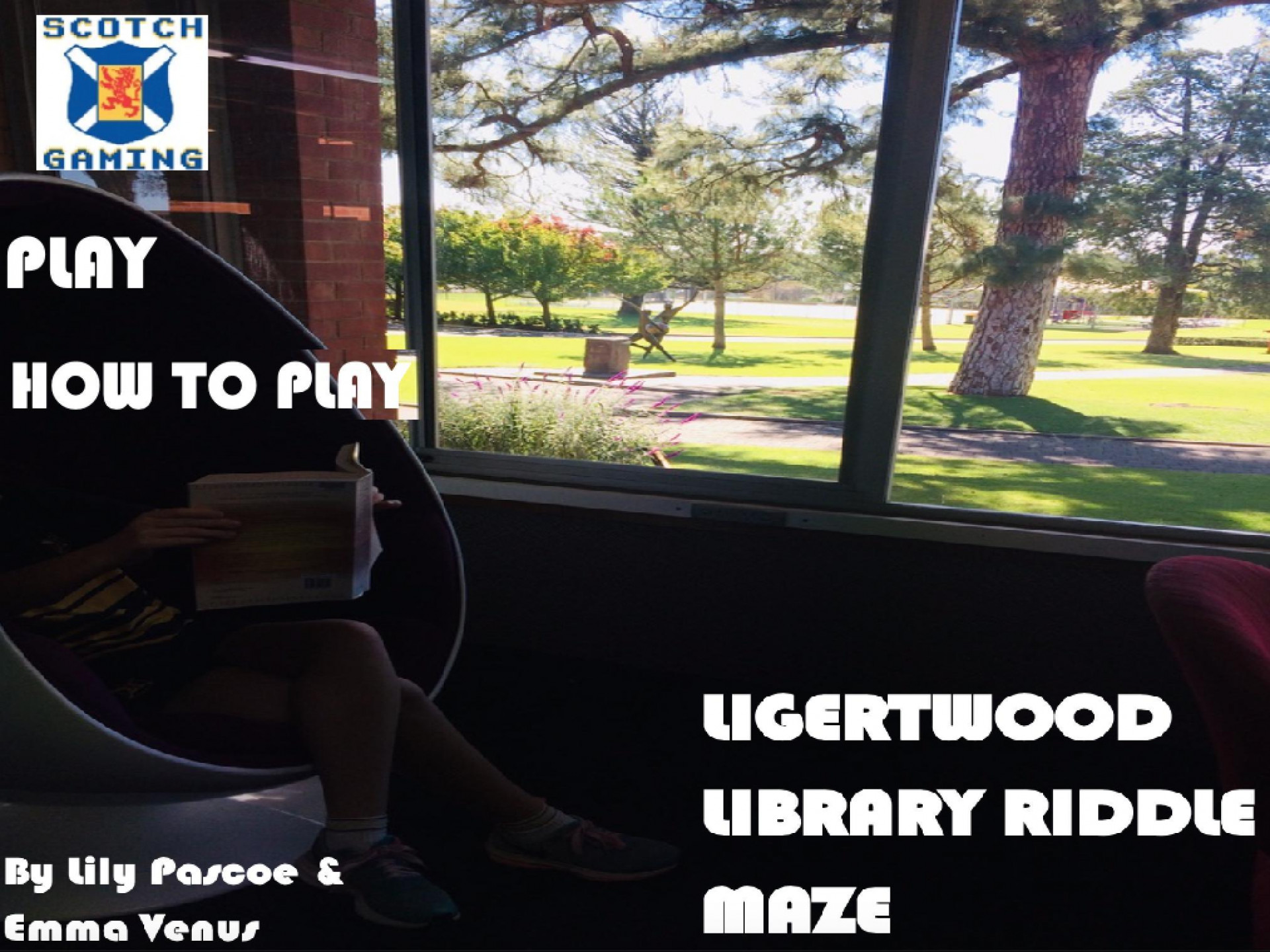 The Ligertwood Library (itch) - кадр 1
