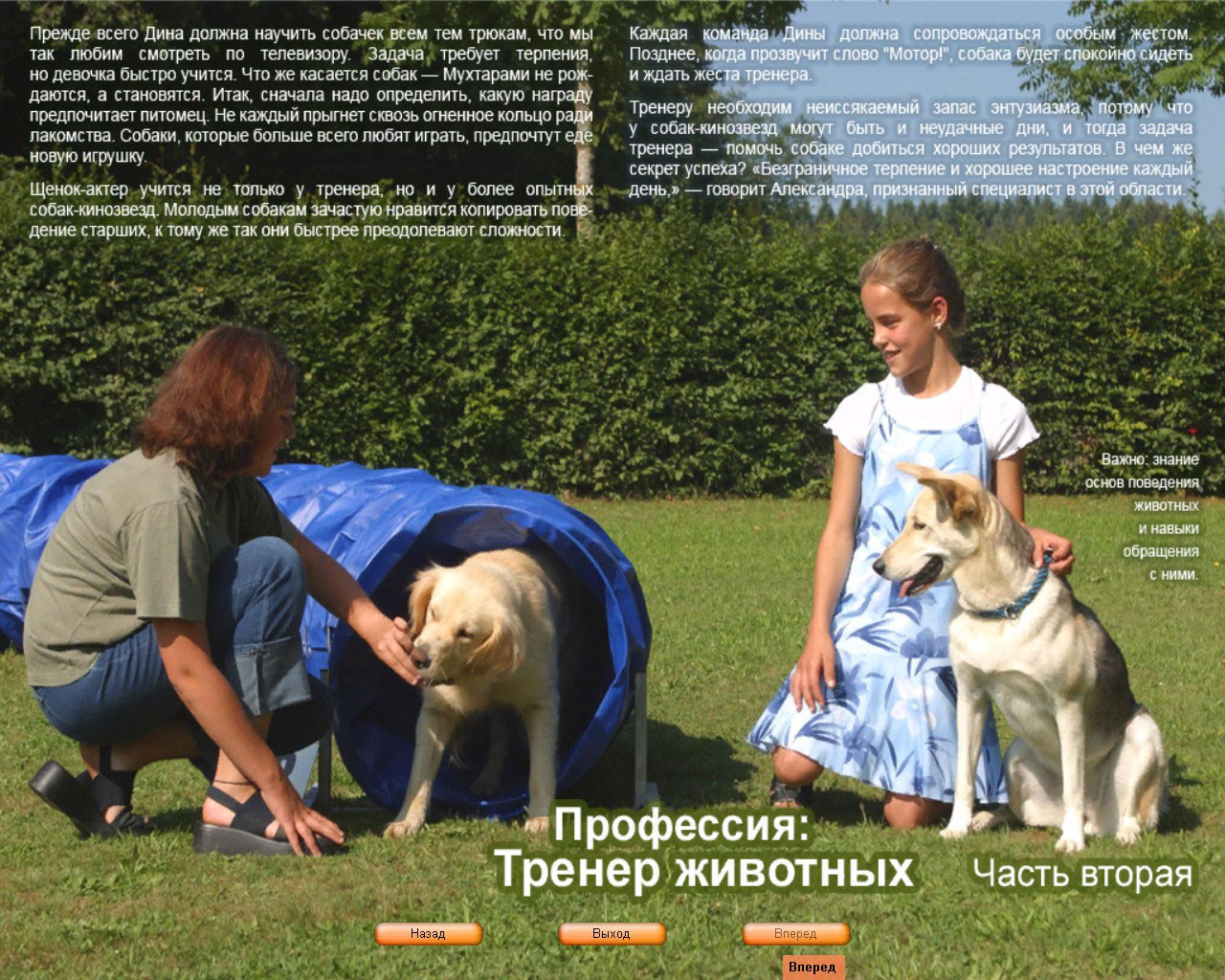 Paws & Claws: Pet School - кадр 6