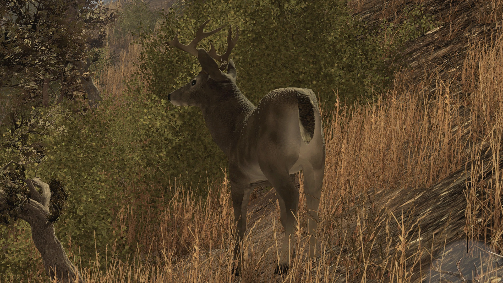 Pro Deer Hunting - кадр 10