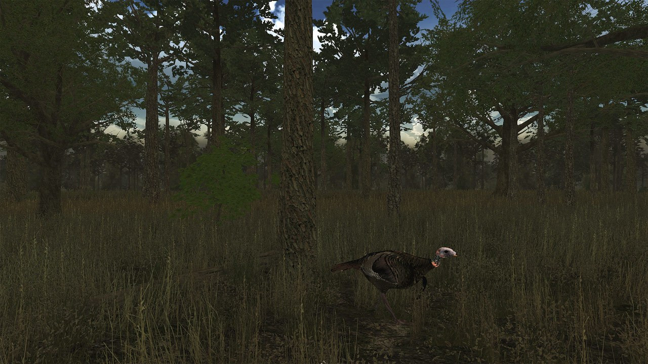Wild Turkey Hunter VR - кадр 6