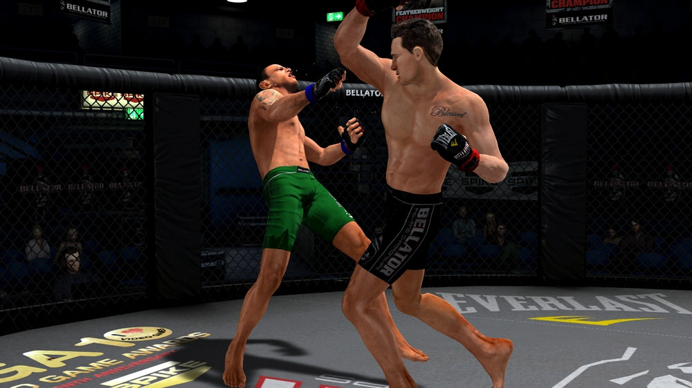Bellator: MMA Onslaught - кадр 12