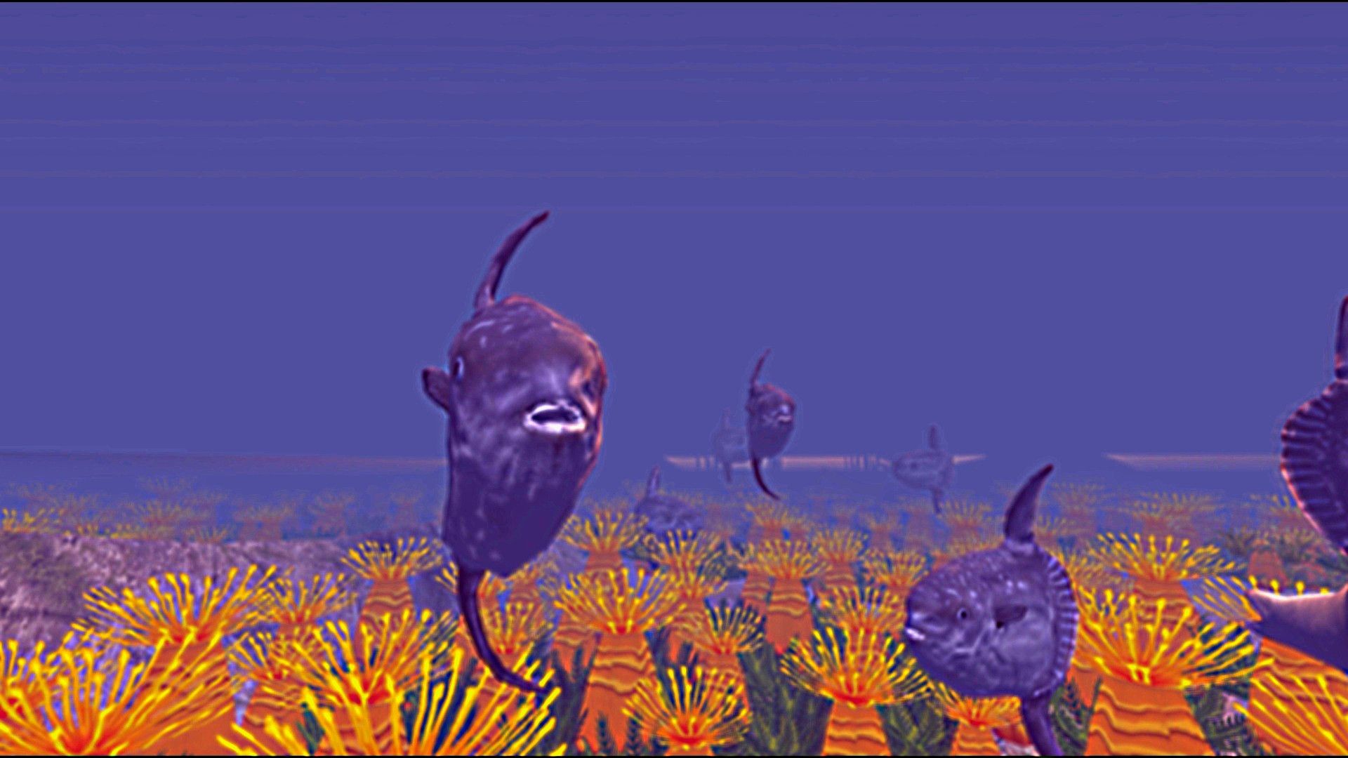 Zen Fish SIM - кадр 15