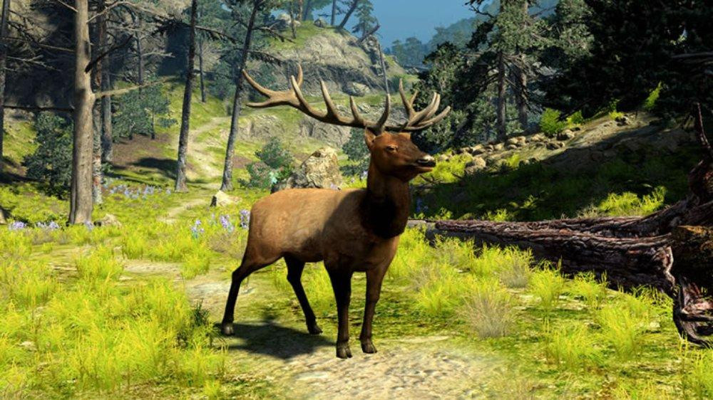 Cabela's BGH 2010 - кадр 9