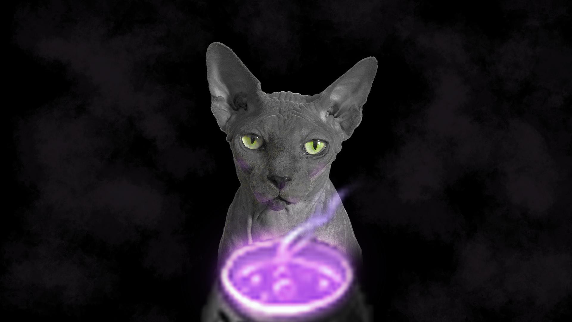 Gray Love Potion (itch) - кадр 3