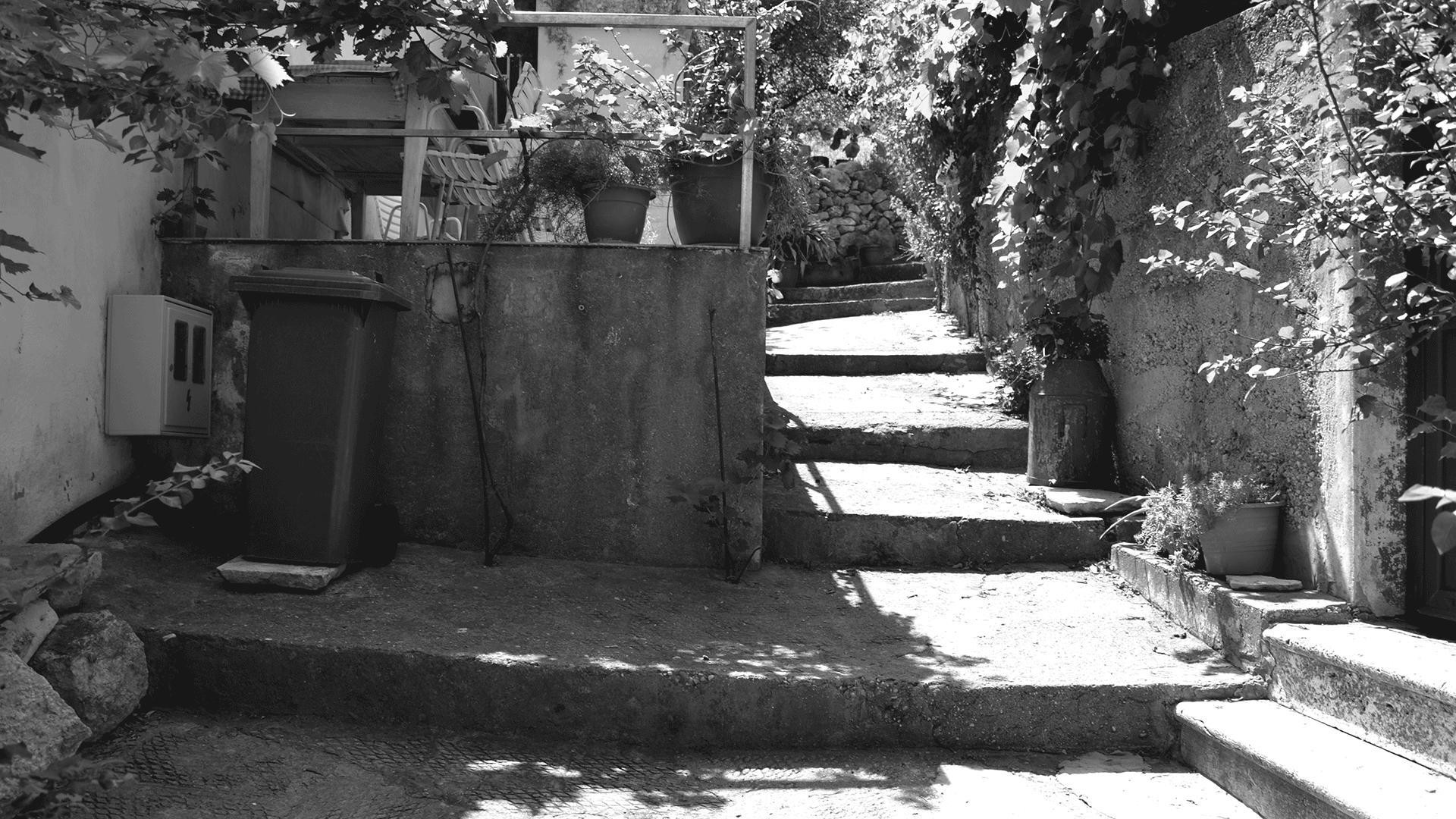 10 Gnomes in Trstenik (itch) - кадр 3