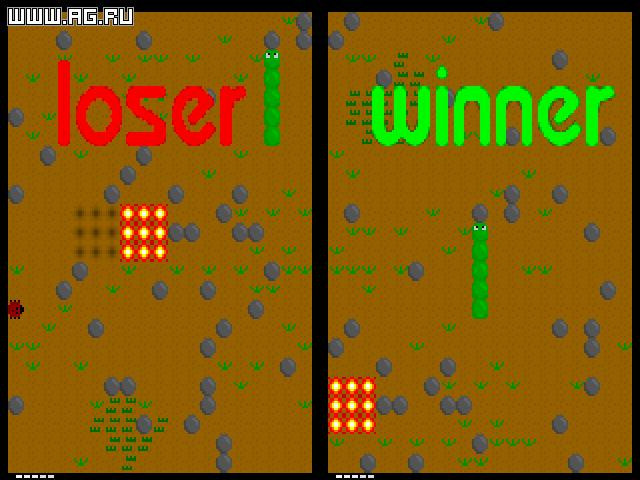 Wibbles: The Stupid Challenge - кадр 2