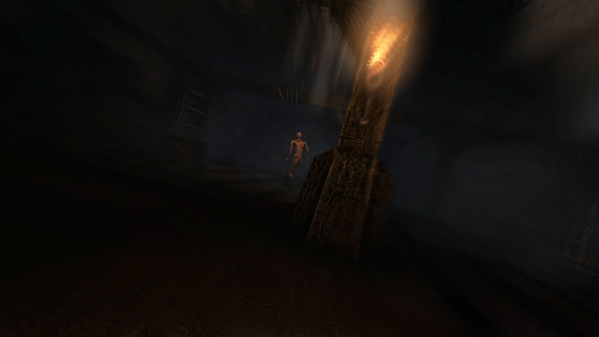 Amnesia: Collection - кадр 10