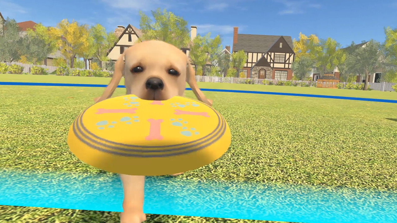 Dream Pet VR - кадр 6