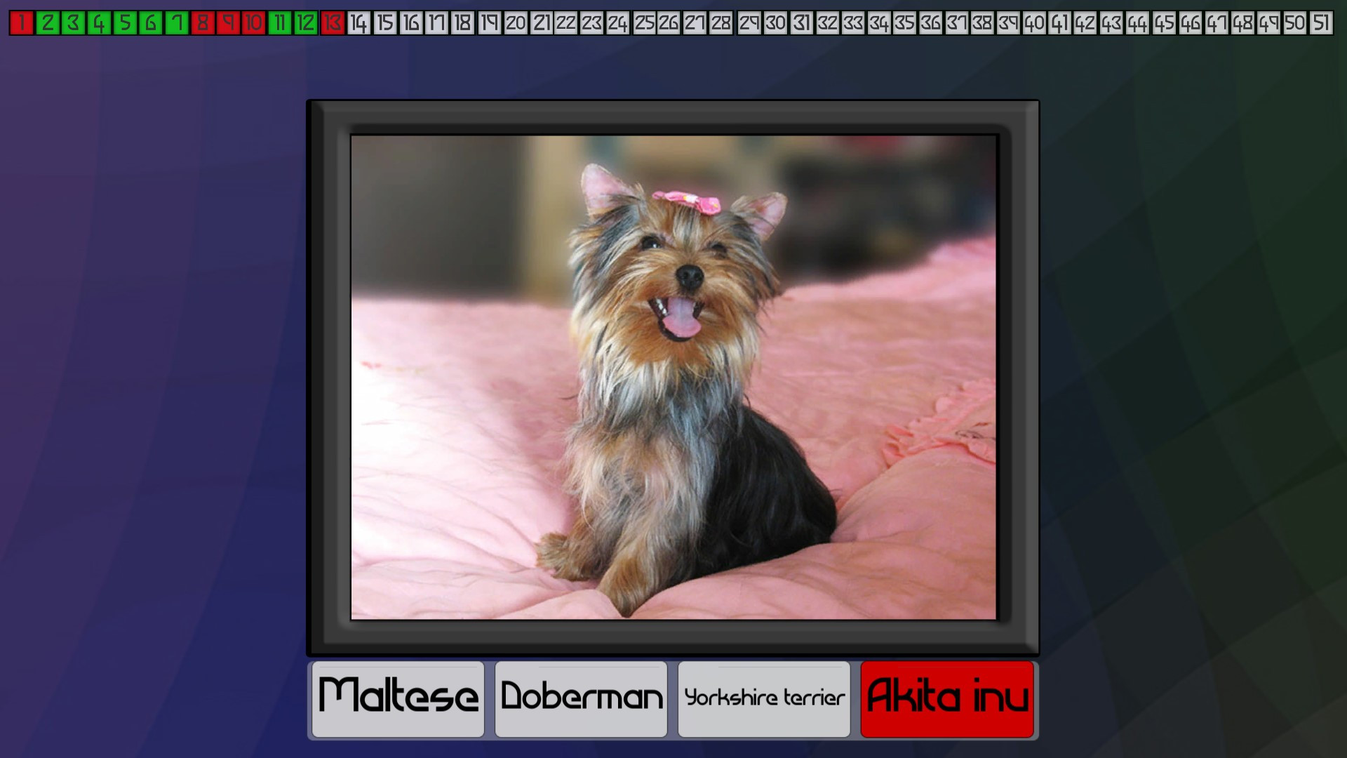 Test your knowledge: Dogs - кадр 6