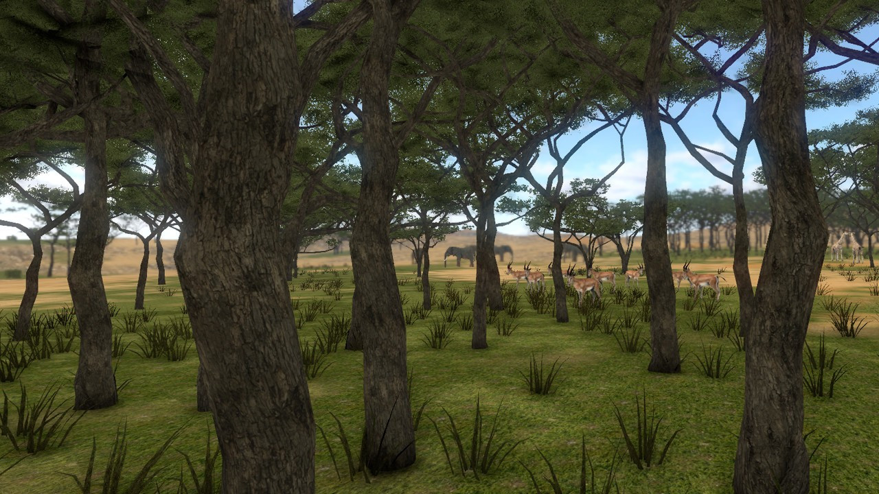 SAVANNA SHOT VR - кадр 11