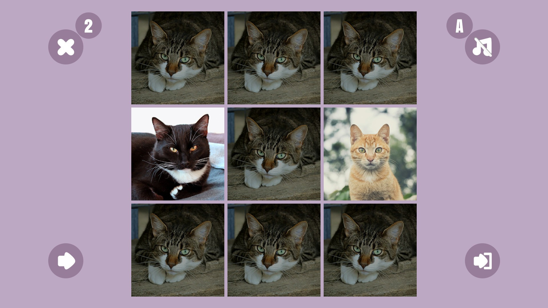 Cat couple - кадр 5