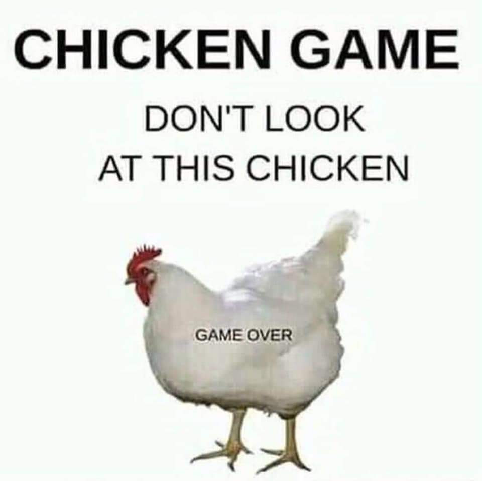 CHICKEN GAME (TXV123) (itch) - кадр 1