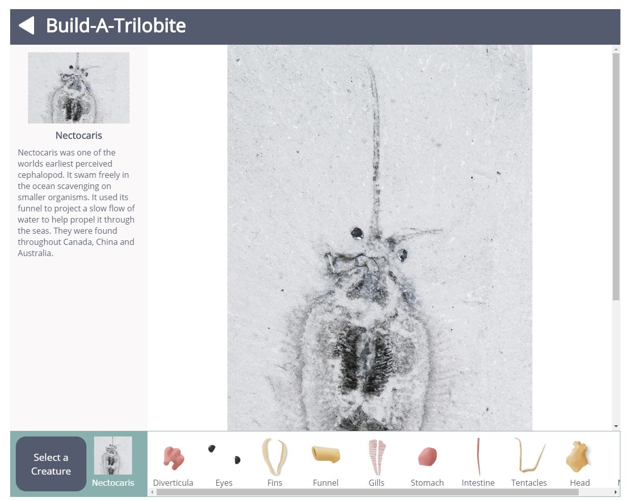 Cambrian Creature Creator (itch) - кадр 4