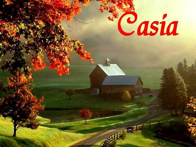 Casia (itch) - кадр 1