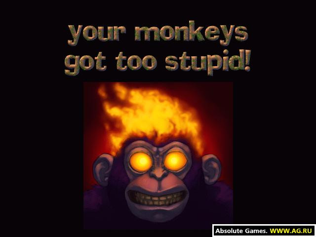 Monkey Brains - кадр 12