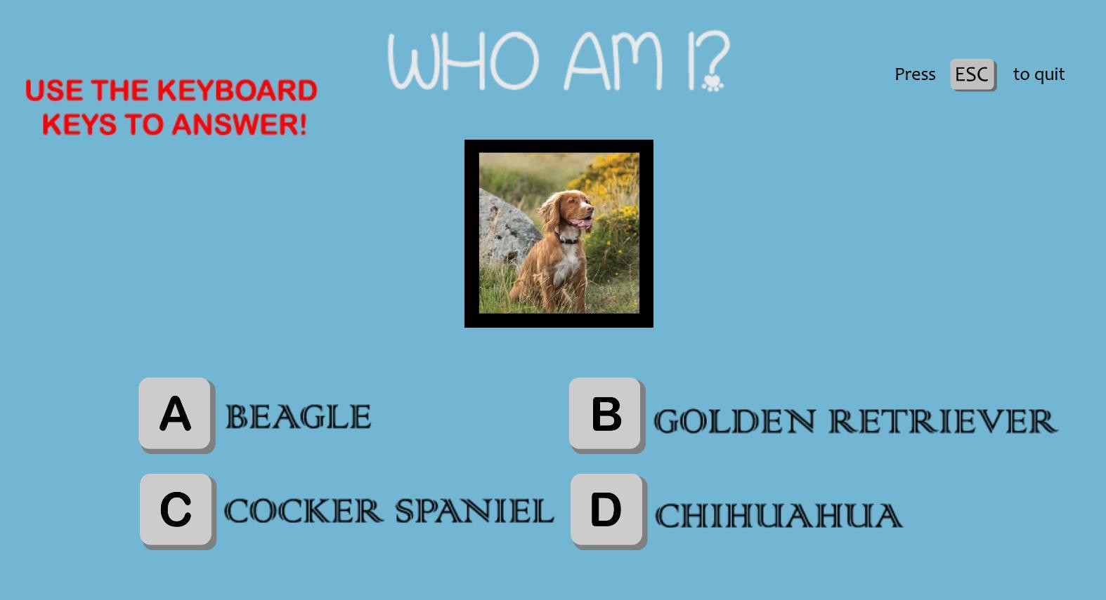 Who Am I? (Elisheva) (itch) - кадр 1