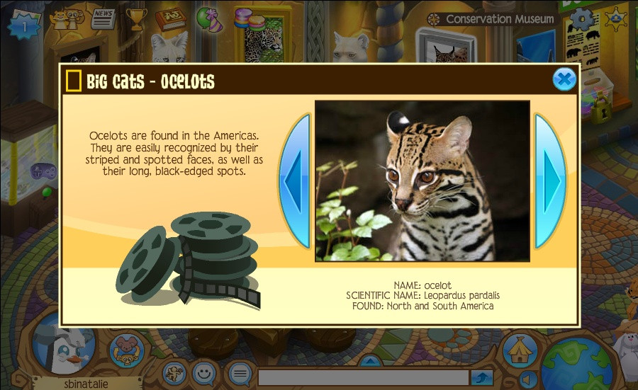AnimalJam - кадр 3