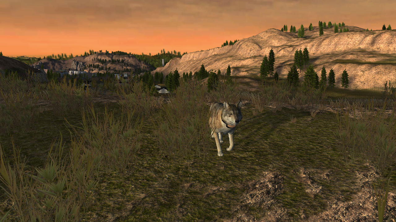 WolfQuest - кадр 13