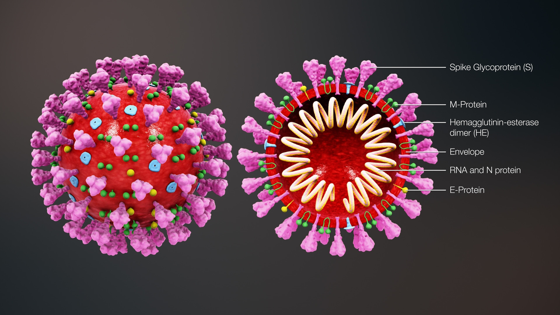 Corona Virus - COVID 19 (itch) - кадр 1