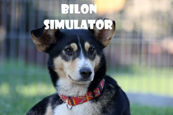 Bilon Simulator (itch) Bilon Simulator (itch)