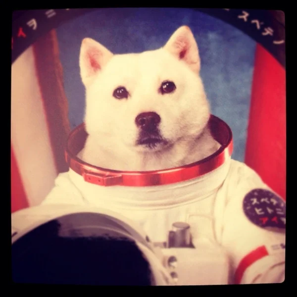 Felix & Rover in Argh our spaceship is on fire (itch) Felix & Rover in Argh our spaceship is on fire (itch)