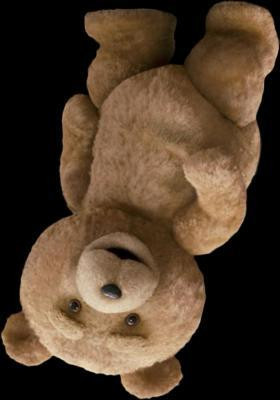 Metro needs his bear to sleep at night (itch)