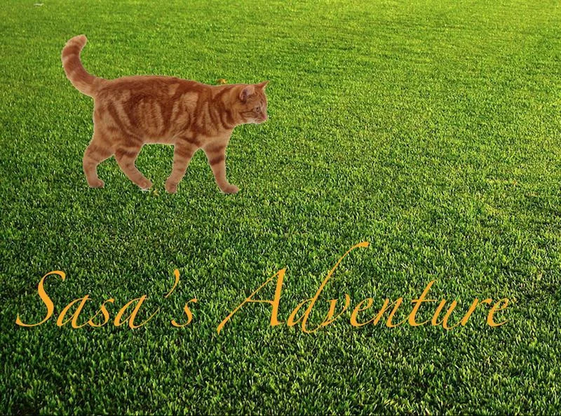 Sasa's Adventure (itch) Sasa's Adventure (itch)
