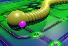 Snake virus (itch)
