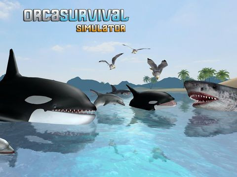 Orca Survival Simulator Orca Survival Simulator