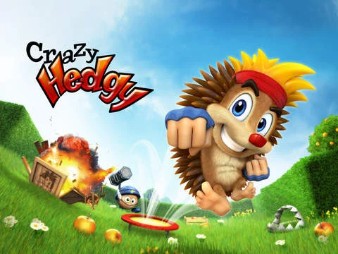 Crazy Hedgy - Beat ’em up 3D Platformer Crazy Hedgy - Beat ’em up 3D Platformer