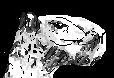 CapyBros (itch) CapyBros (itch)