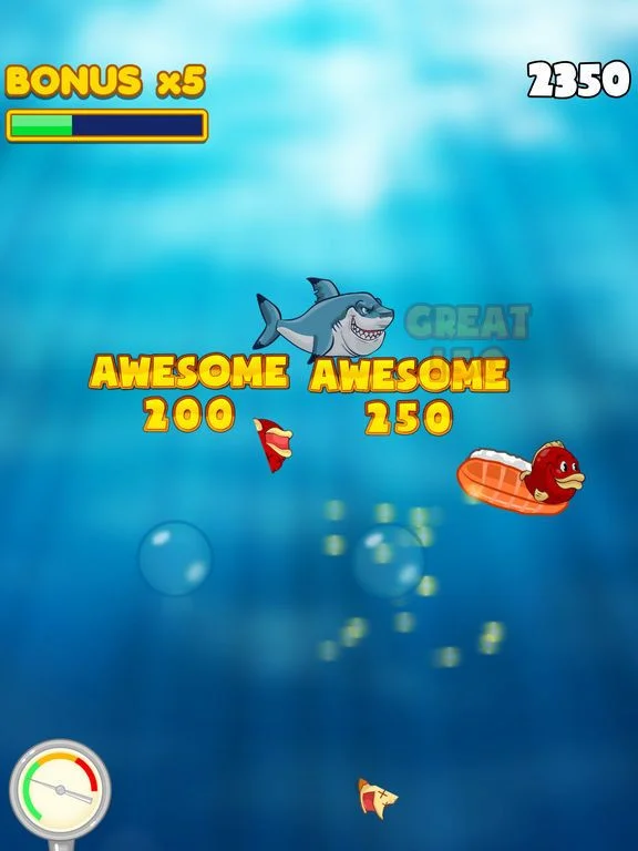 Dash Shark in Hungry Fish Tank Dash Shark in Hungry Fish Tank