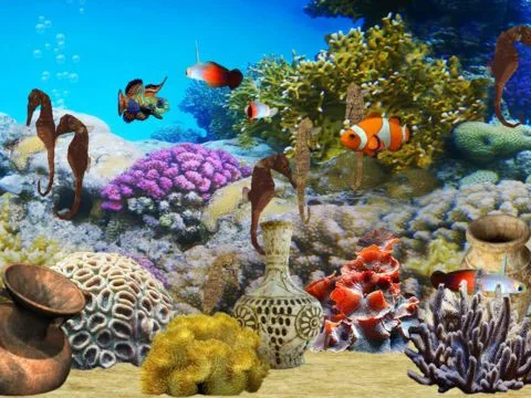 Fish Farm Unlimited Fish Farm Unlimited