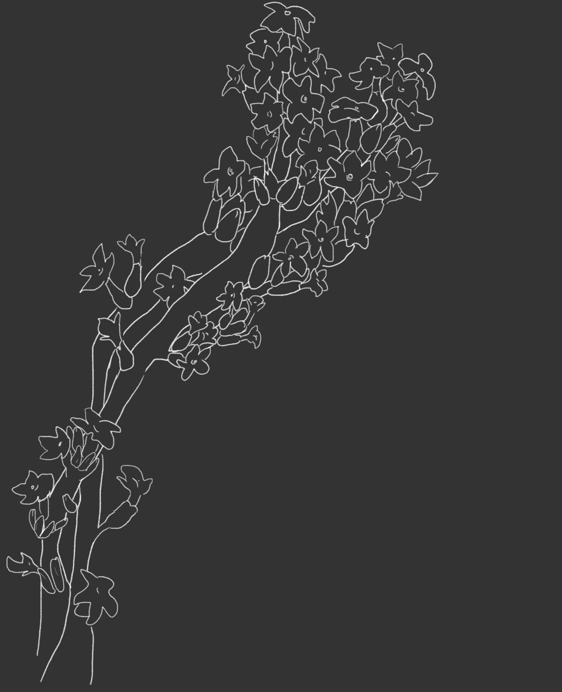 Soft Earth (itch) Soft Earth (itch)