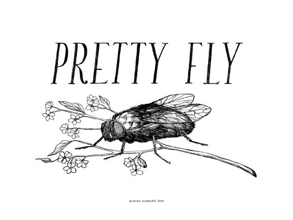 Pretty Fly! (itch) Pretty Fly! (itch)