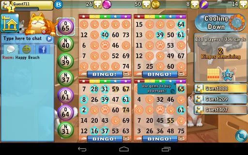 Рецензии Bingo Cats