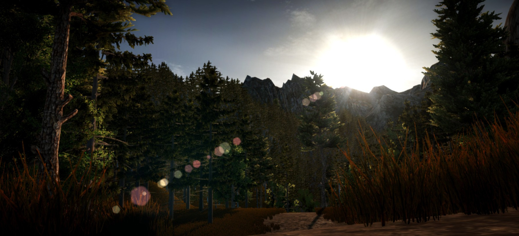 The Secrets of The Forest The Secrets of The Forest