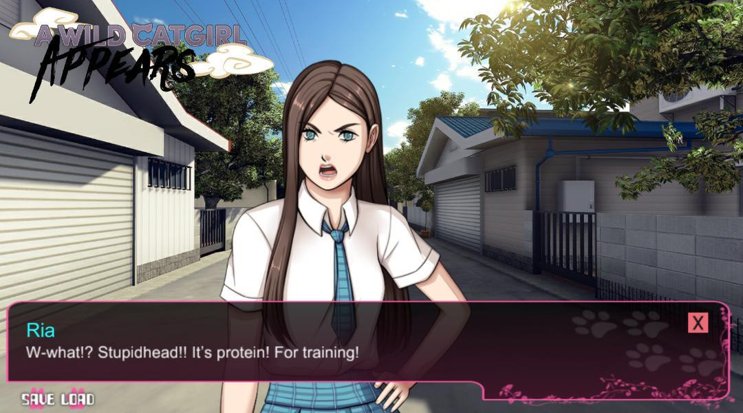 A Wild Catgirl Appears! A Wild Catgirl Appears!