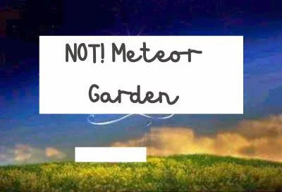 Рецензии Not! Meteor Garden (itch)