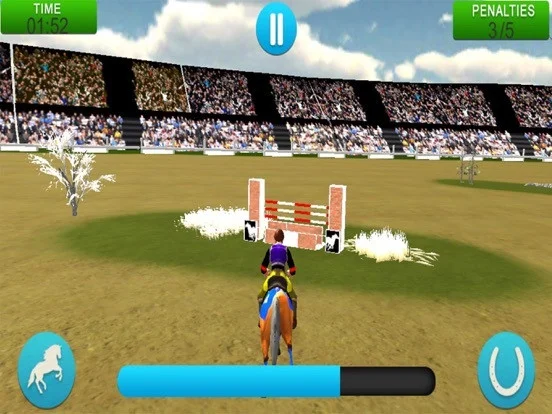 Champion Of Horse Jumping Show Champion Of Horse Jumping Show
