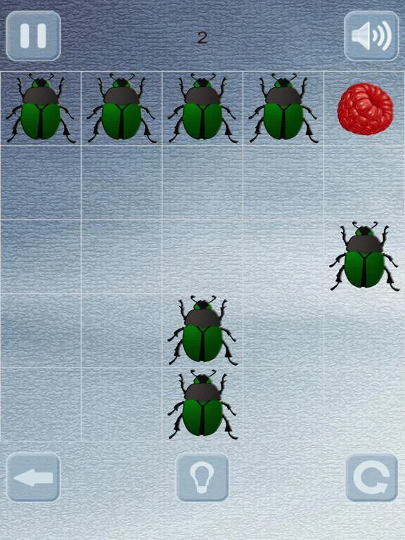 Berry puzzle Berry puzzle