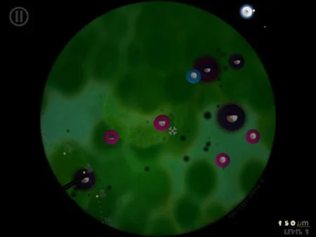 Little Cells