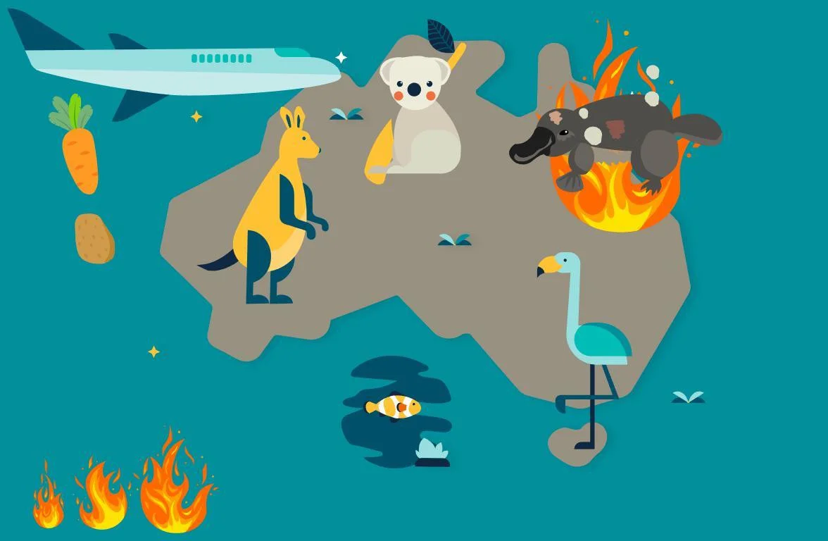 Статьи по Australia Bushfire (itch)