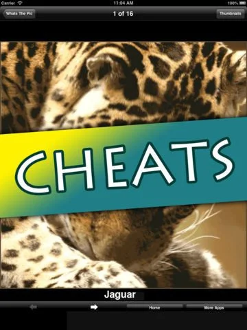 Cheats for Whats the Pic Cheats for Whats the Pic