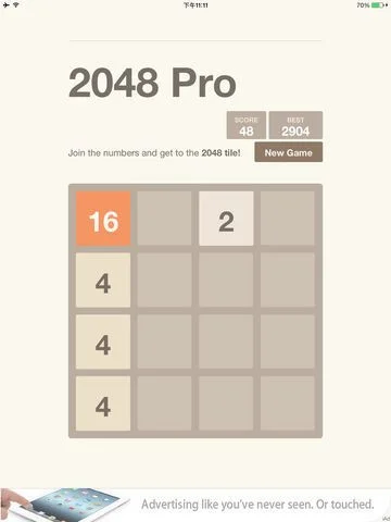 2048 Pro Version