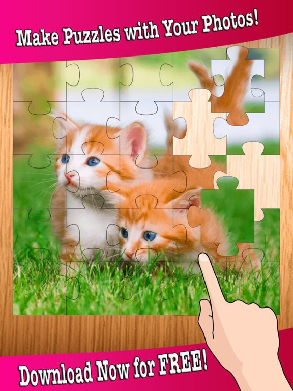 Kitten Baby Animal Game - Cute Cat Puzzles Jigsaw