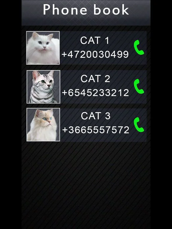 Статьи по Fake Video Call Cat
