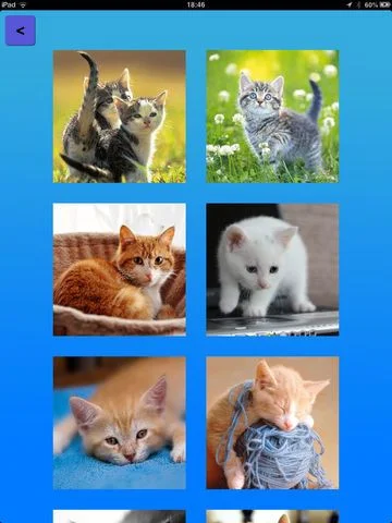 Cat Scramblers - a tile puzzle with cute kitty pictures! Cat Scramblers - a tile puzzle with cute kitty pictures!