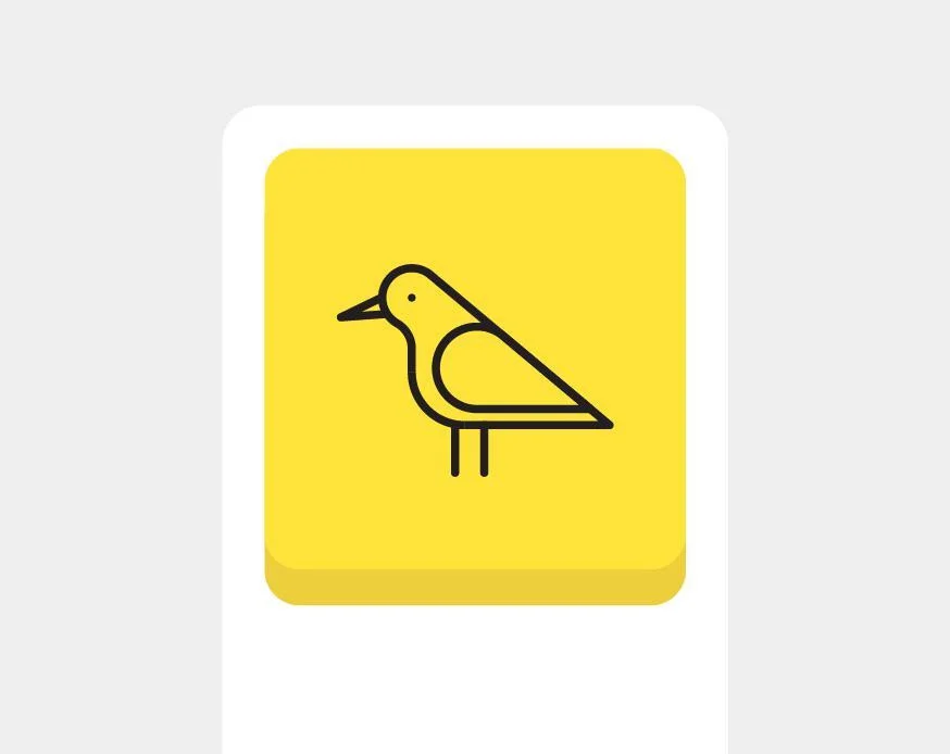 Match the Bird (itch) Match the Bird (itch)