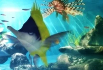 Aquatopia Aquatopia